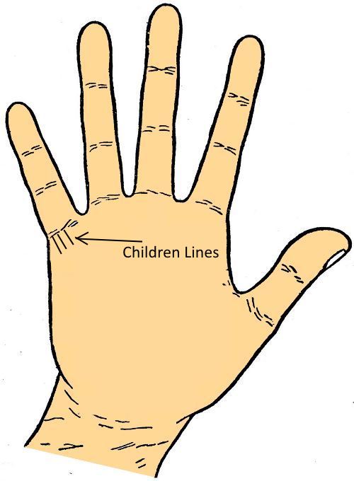 Children Line - Palminstry